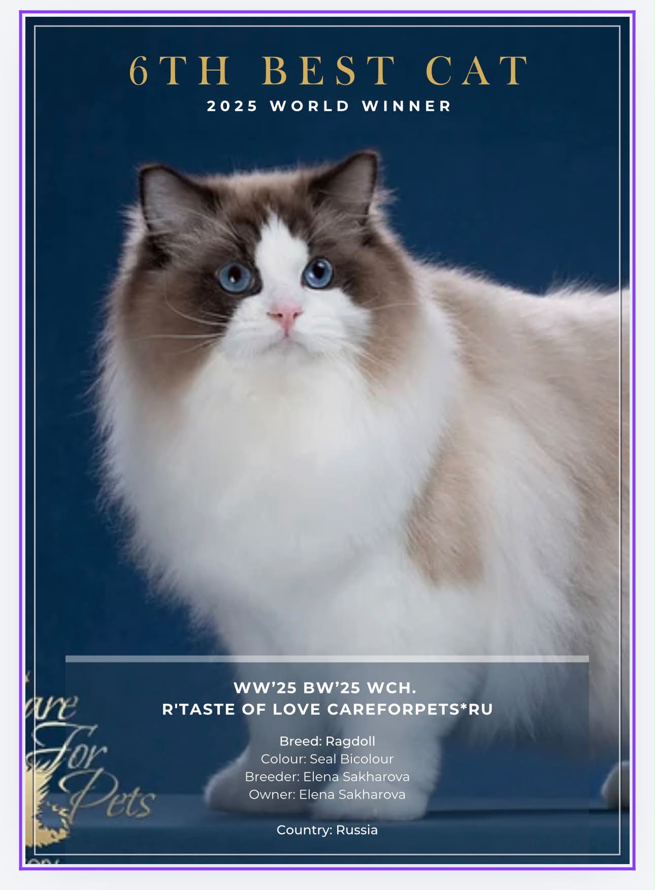 RTaste of Love page of Yearbook 2025