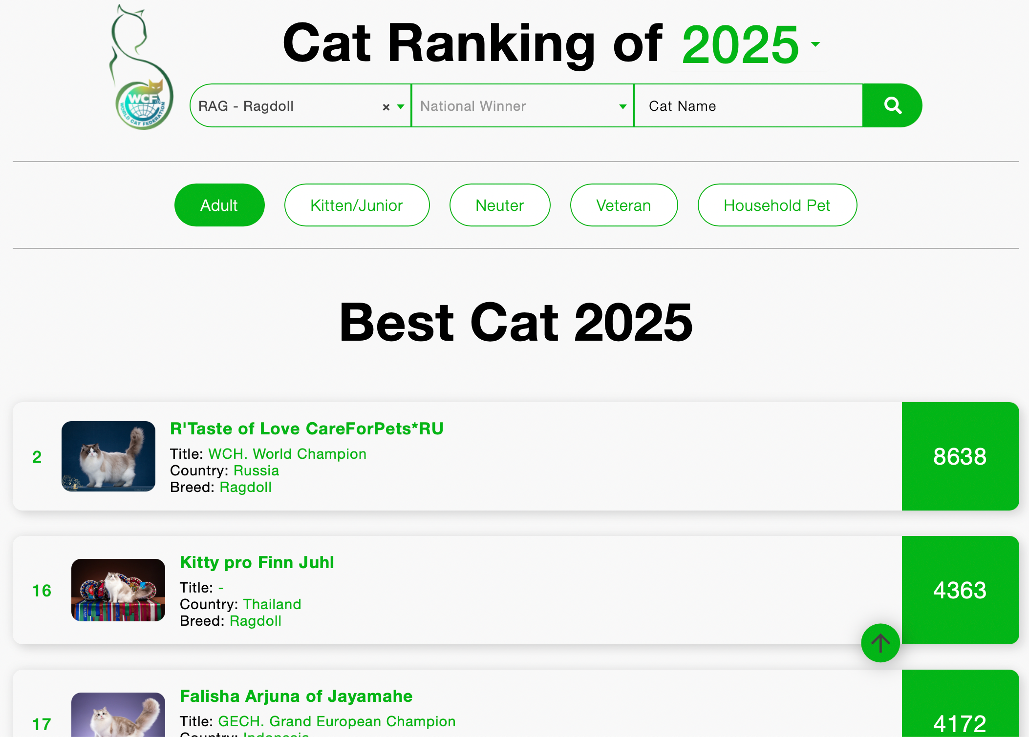 Best ragdoll 2025